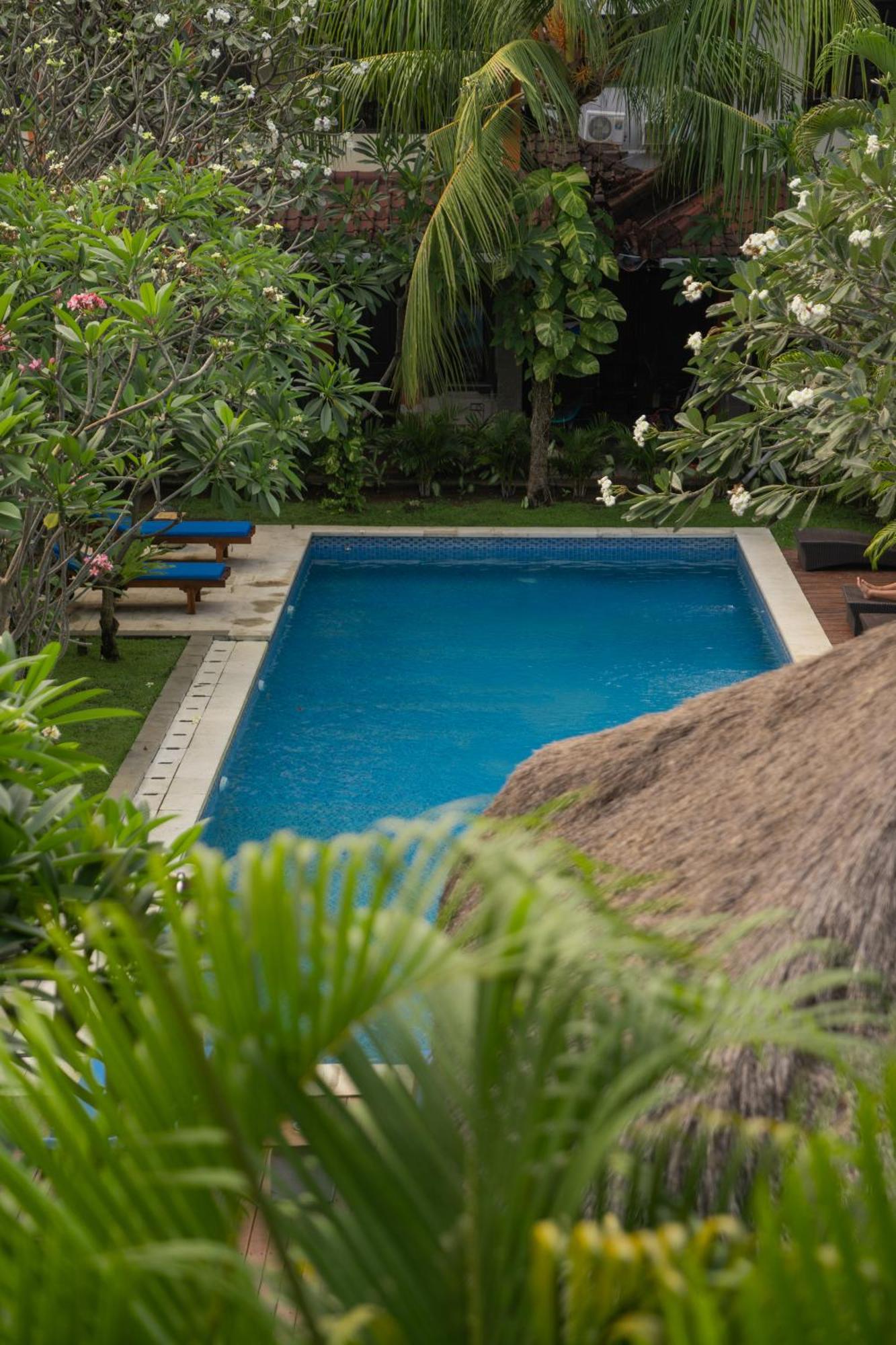 Easy Surf Camp Hotel Kuta  Ngoại thất bức ảnh